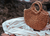 sac raphia